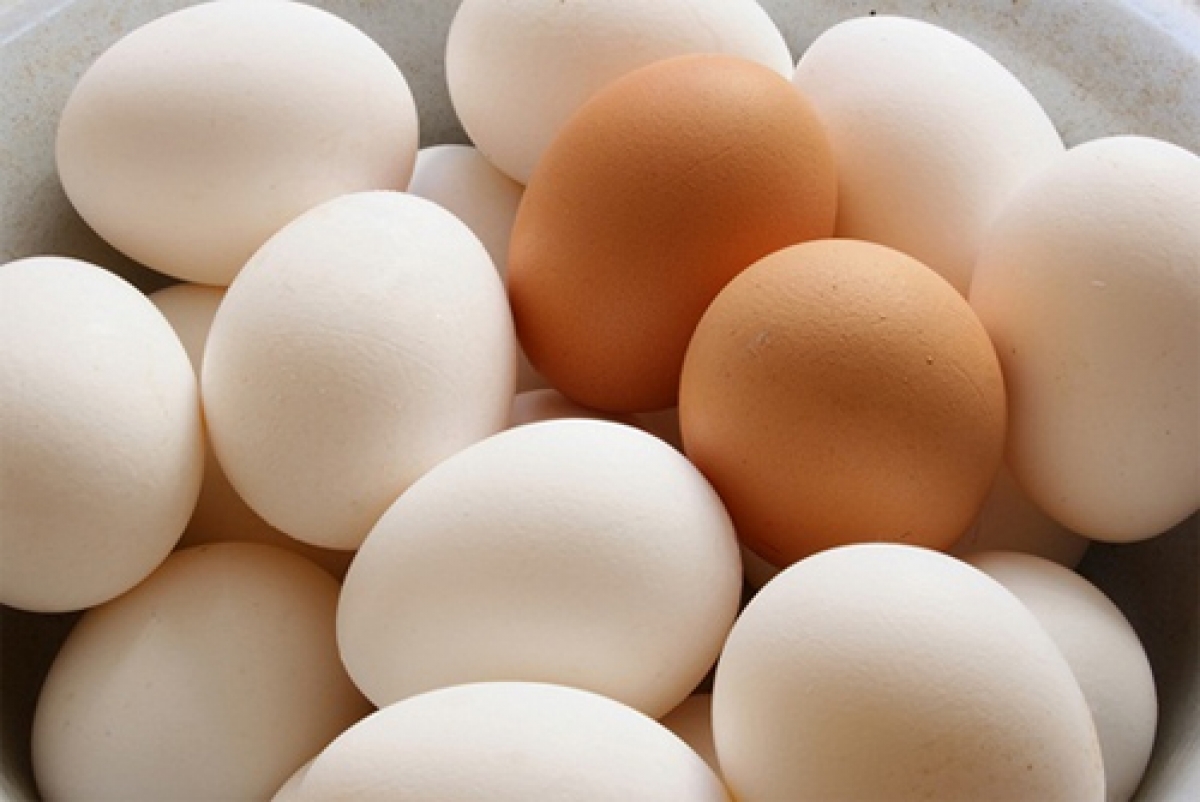 Cách chọn mua trứng tươi ngon