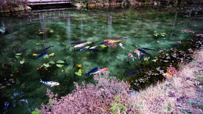 Khám phá hồ Namonaki đẹp tựa như tranh vẽ tại Nhật Bản