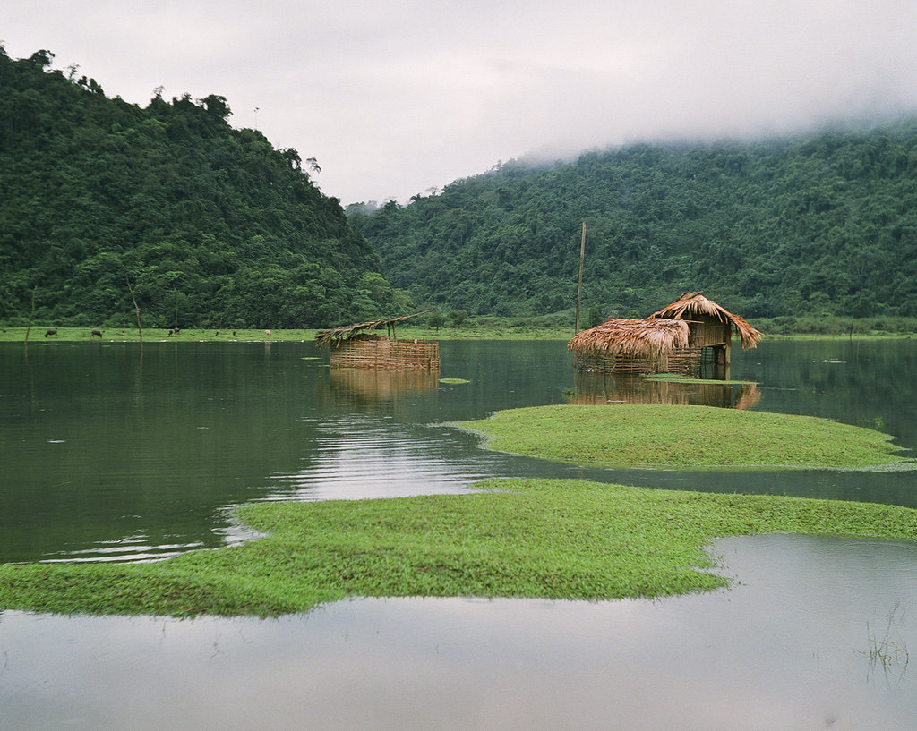 Khám phá vẻ đẹp như tranh vẽ của hồ Noong Hà Giang